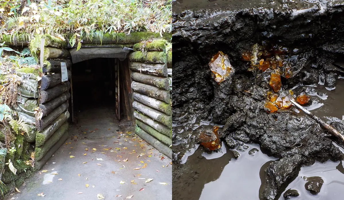 古い琥珀の採掘坑口 久慈琥珀博物館 久慈琥珀の産状