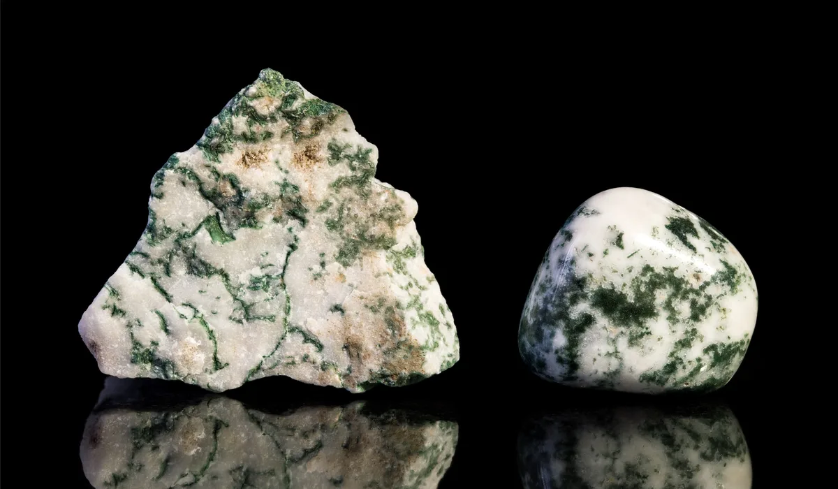 石の中に植物が？モスアゲートってどんな石？ | カラッツ Gem Magazine