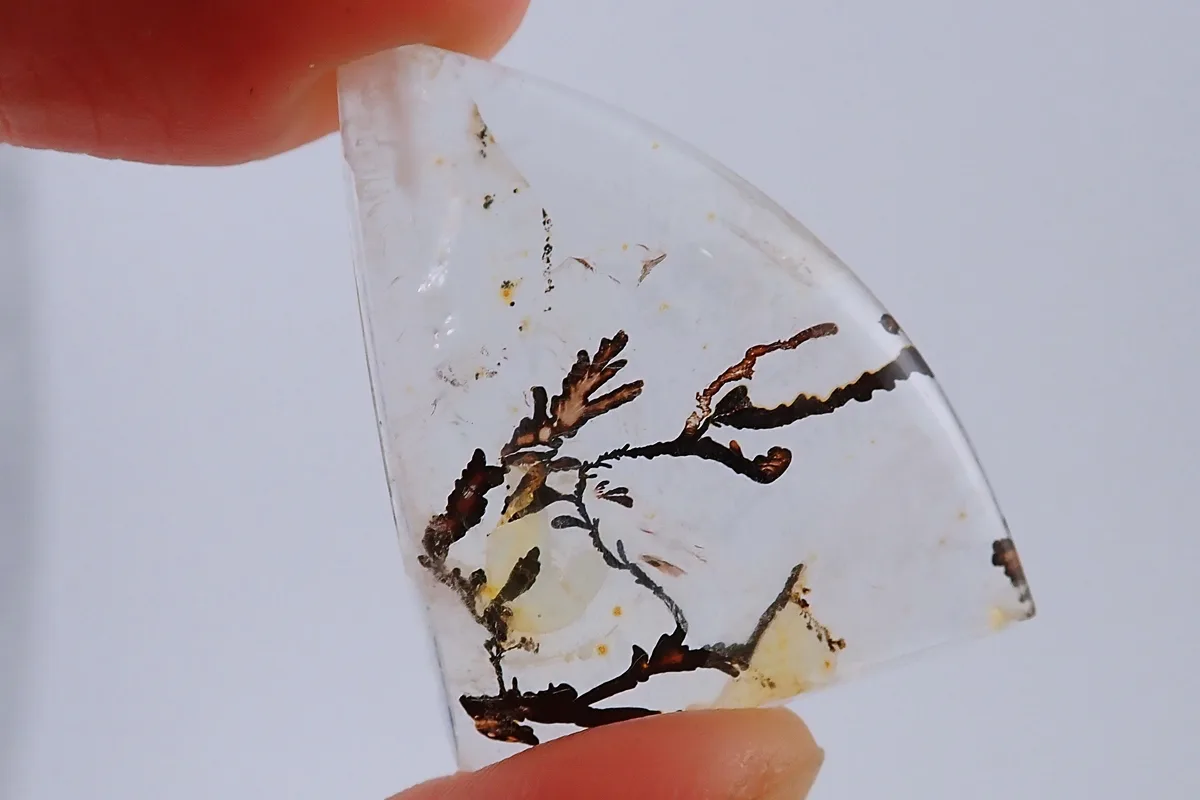 絵画のように美しいデンドリティッククォーツの世界とは？ | カラッツ