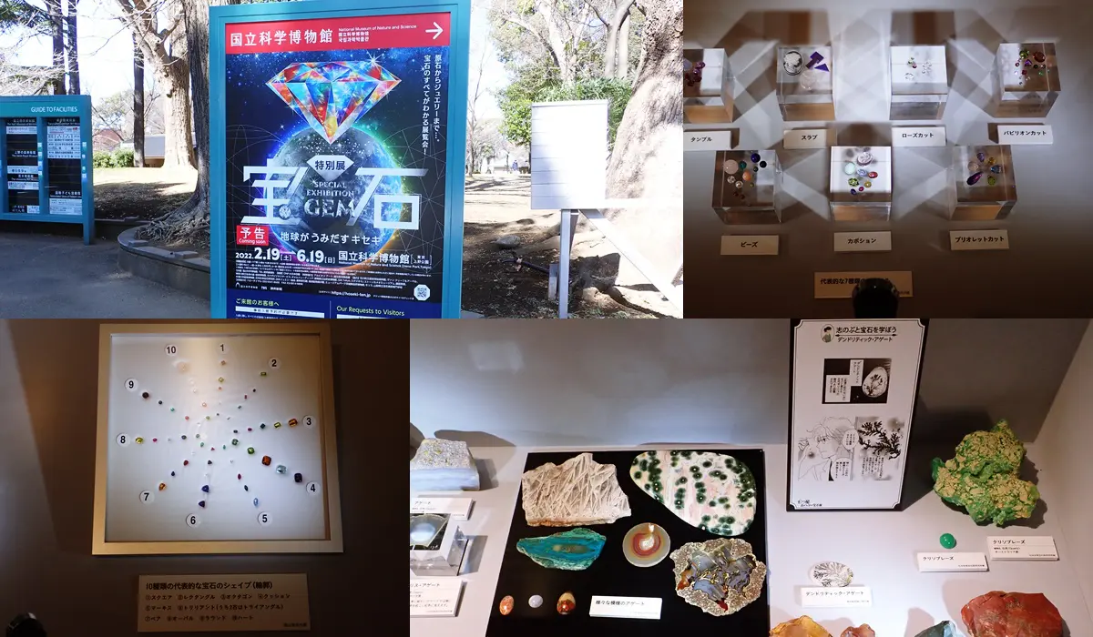 特別展「宝石 地球がうみだすキセキ」誕生秘話！監修者宮脇律郎