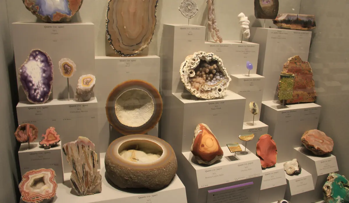 アメリカの美術館・博物館で見られる有名な宝石とジュエリー