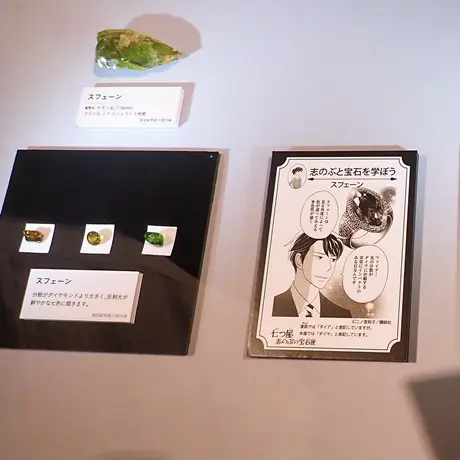 二ノ宮知子氏直撃取材！「七つ屋志のぶの宝石匣」が宝石のプロをも魅了
